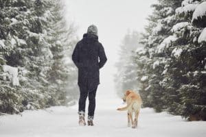 winter walk