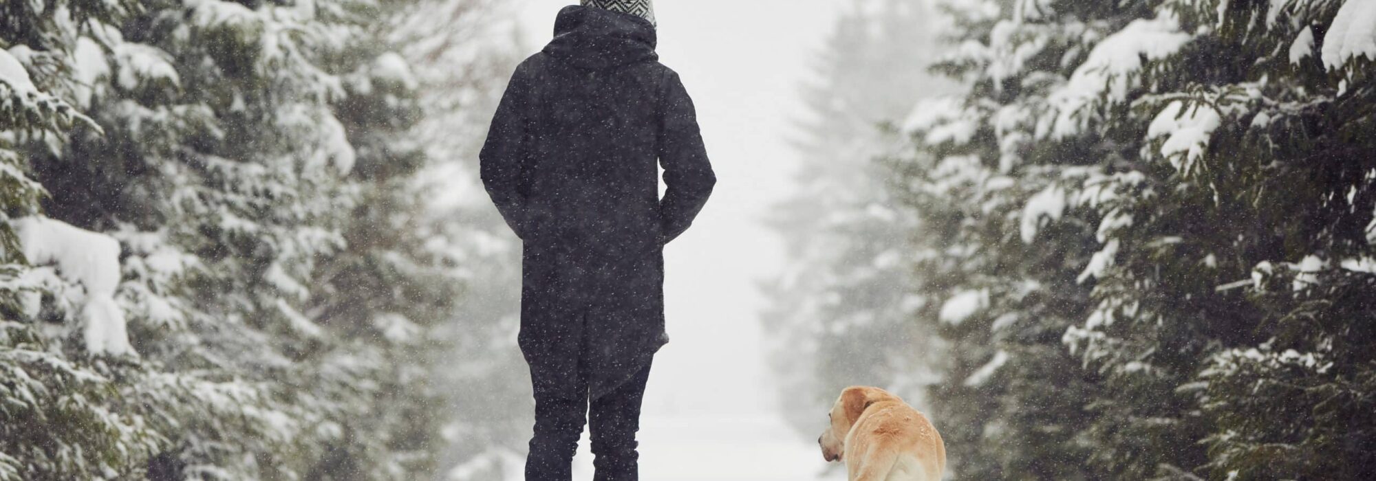 winter walk