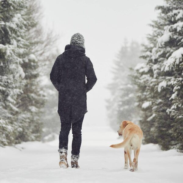 winter walk