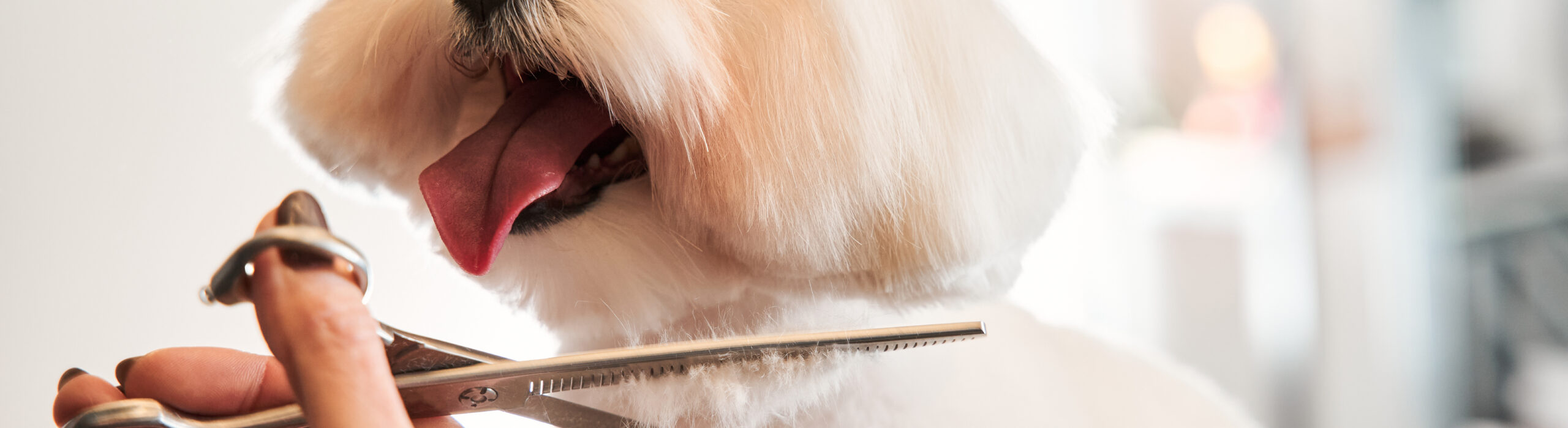 La Pooch Grooming