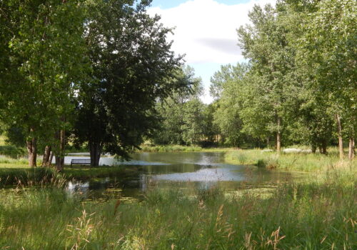 Highlands Park