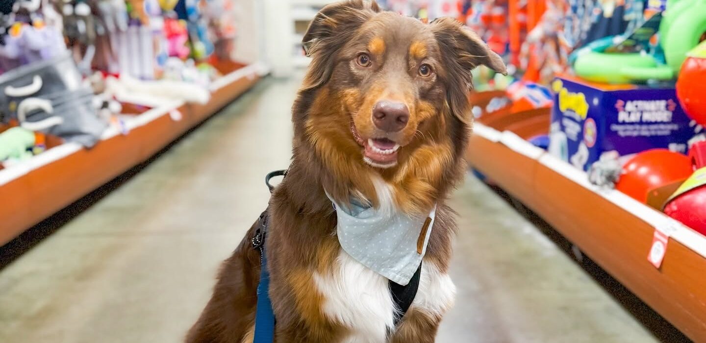 PetSmart