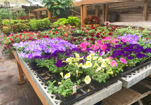 Whispering Gardens Center