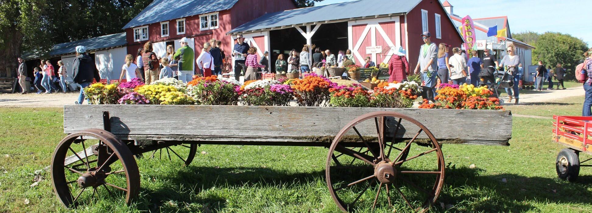 Whistling Well Farm
