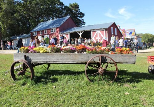 Whistling Well Farm