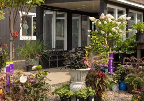 Zywiec's Garden Center